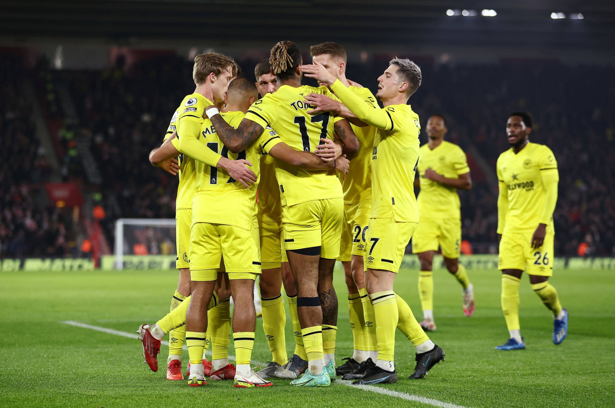 同样年轻的 同样年轻的